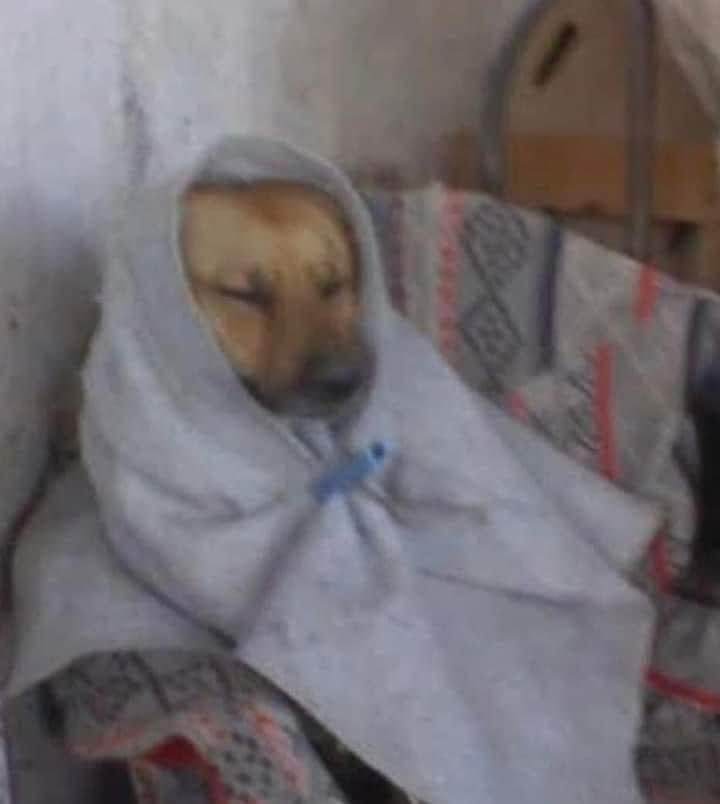 "Sin mí, el jale no saldría"

Yo en el jale: