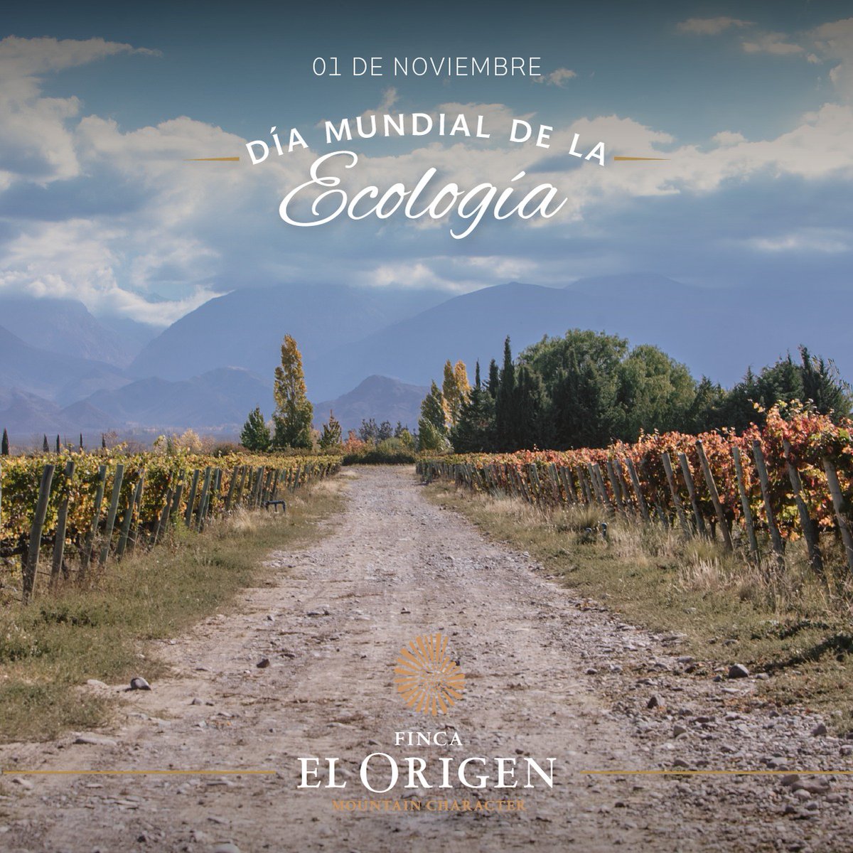¡Hoy celebramos el Día Mundial de la Ecología!

🌍 Un recordatorio de la importancia de cuidar nuestro hogar, la Tierra. 🌿💚

#FincaElOrigen #Mendoza #Argentina