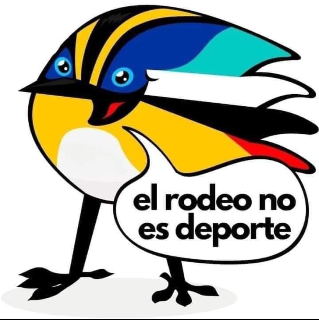hugoguionista's tweet photo. https://t.co/bmCJ7bQYMC