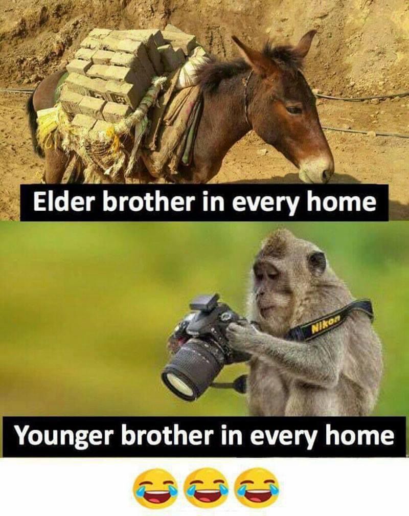 You are elder or younger? 😅