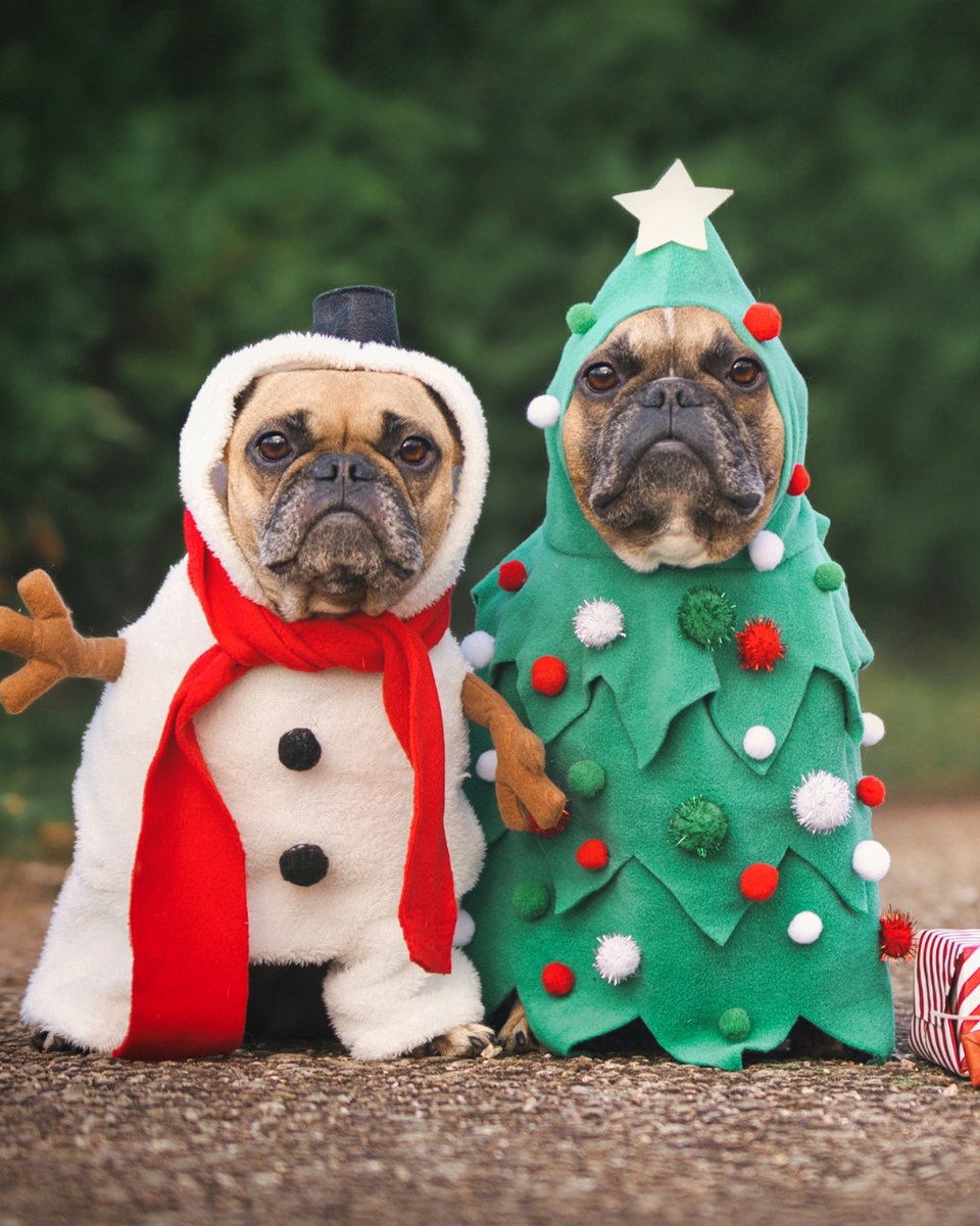 🎃 October 31 vs November 1 🎄