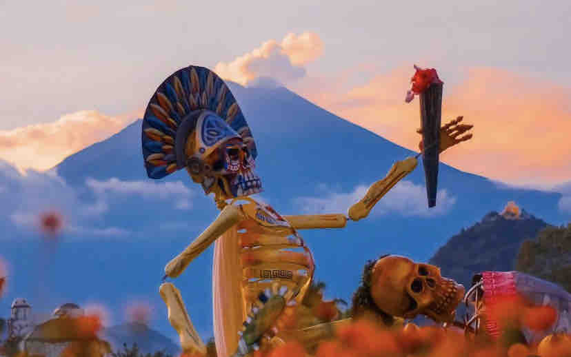 Highness_Mag's tweet photo. 🌺💀🌺 Este #DíaDeMuertos, sumérgete en la magia de #Atlixco, un pueblo que guarda las tradiciones más hermosas de México.

Recorre el #ValleDeCatrinas monumentales. https://t.co/YBur4qhkC9