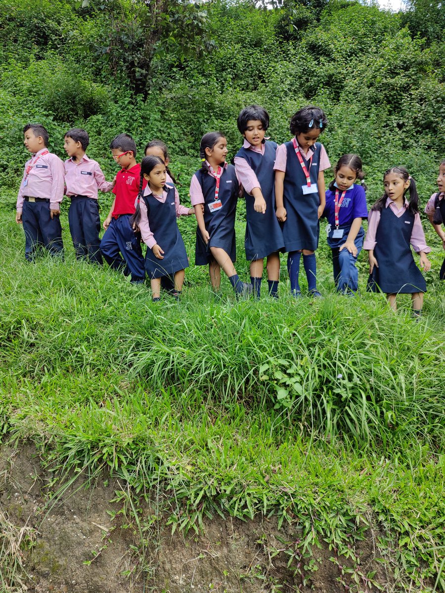 From Classroom to Crop Fields: Grade 2 Students' Fascinating Journey of Cultivating and Harvesting Paddy.
Moment of Discovery and Learning!

#adhyayanschool #adhyayanpreschool #अबाटअध्ययन #reggioinspired #designthinking #technology #HandsOnEducation #PaddyFieldExplorers