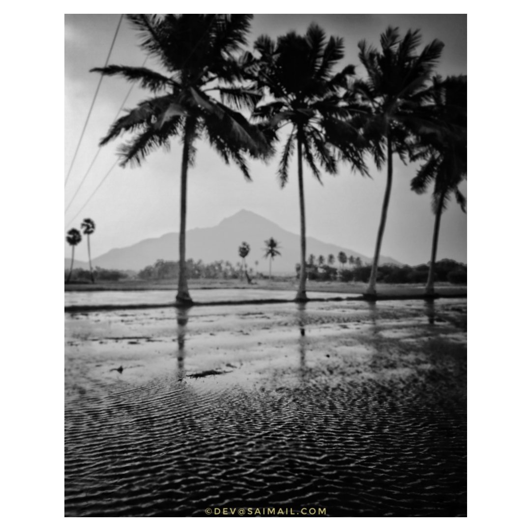 HCR, here comes the rain 🌧️ 🌧️ 🌧️

#Arunachala #Tiruvannamalai #NorthEastMonsoon