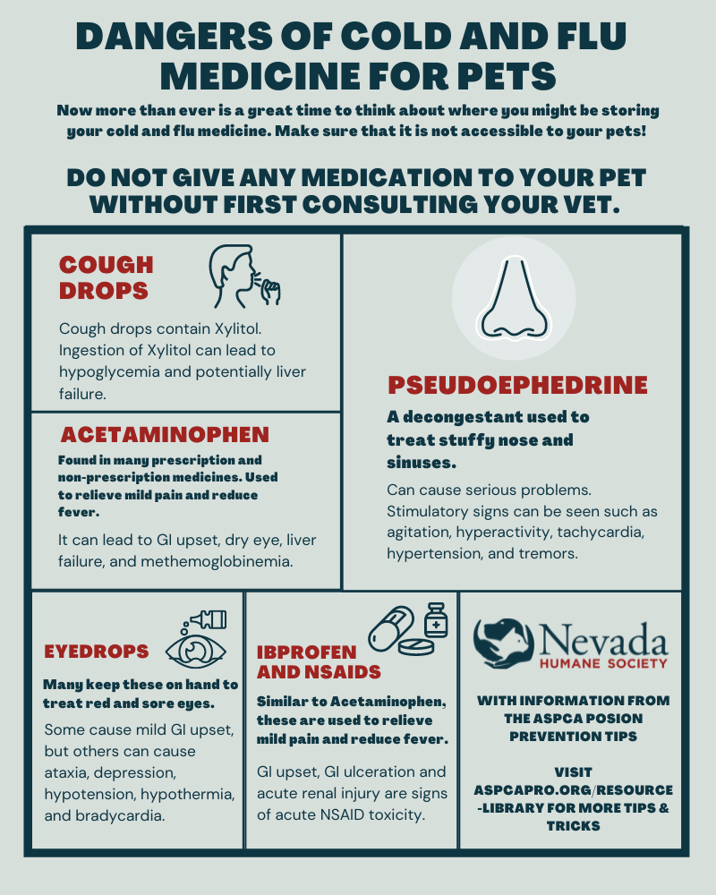 HealthCare_Pets's tweet photo. Remember to ensure that cold and flu medicine are out of reach for pets.
For vet-approved info on foods that are toxic to cats and dogs: https://t.co/phyTALMqmt
.
.
.
#PetPoison #PetPoisoning #PetSafety #PetHazard #PetPoisons #PetDrugs #PetMedicine #PetDangers #PetToxins https://t.co/6ljtu0fmny