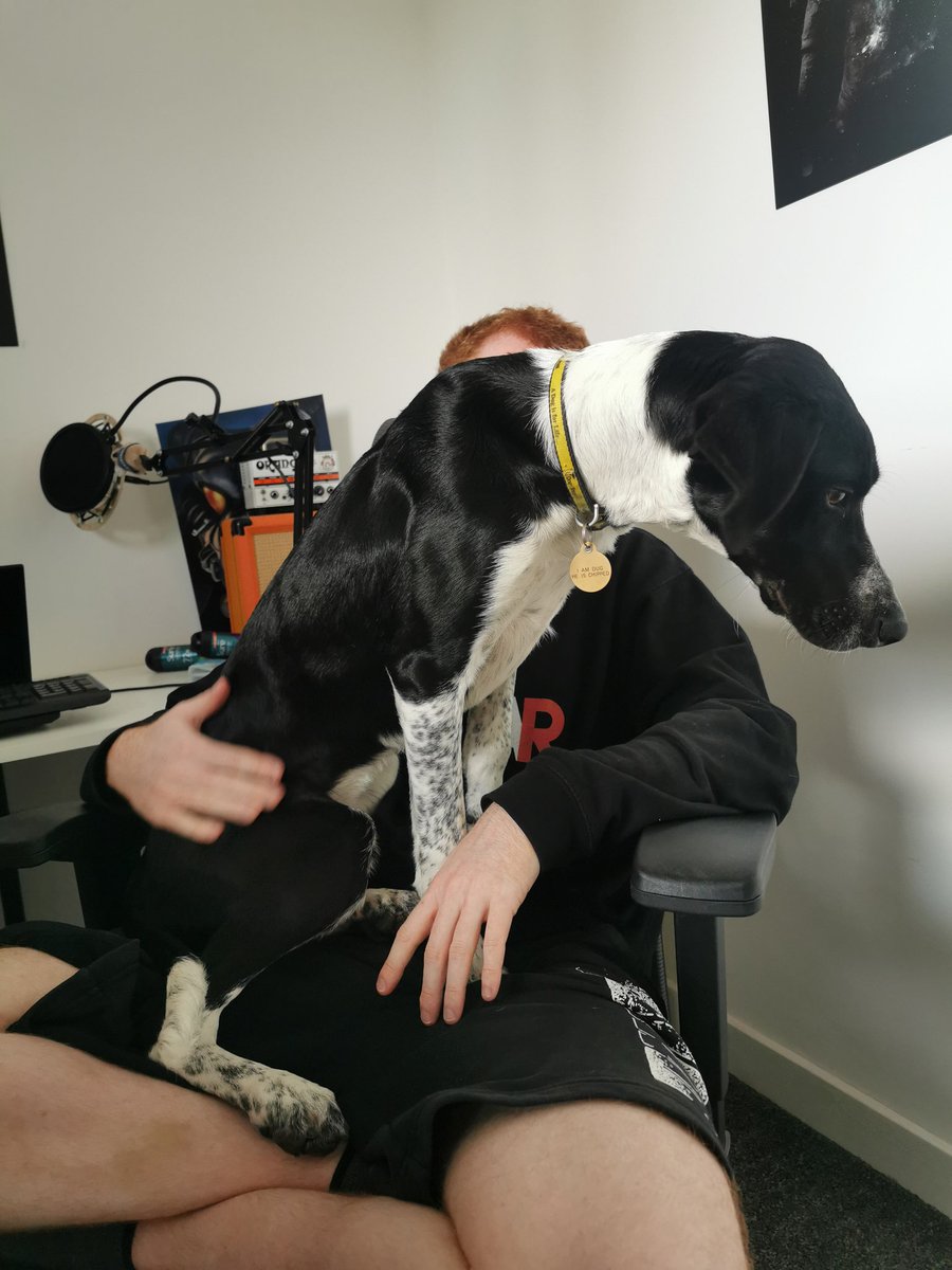 IeuanRS's tweet photo. Only grown a small bit in 3 months... https://t.co/2Z3SQqNiP9