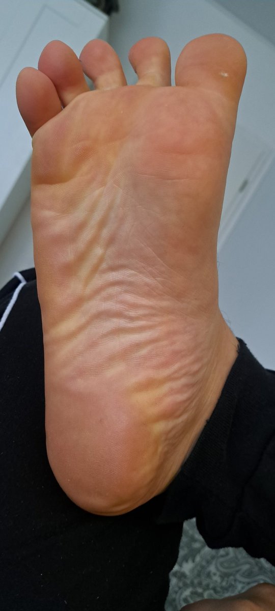 mastertunc34804's tweet photo. İbneler yeriniz burası #master #malefoot #ayakfetiş #sahip #slave #fetiş #türkmaster #gayporn  #socks #feet #feetworship #footfetish #sockfetish #köle #gay #trample #cashmaster #findom #alpha https://t.co/JF5Wq0xhNv