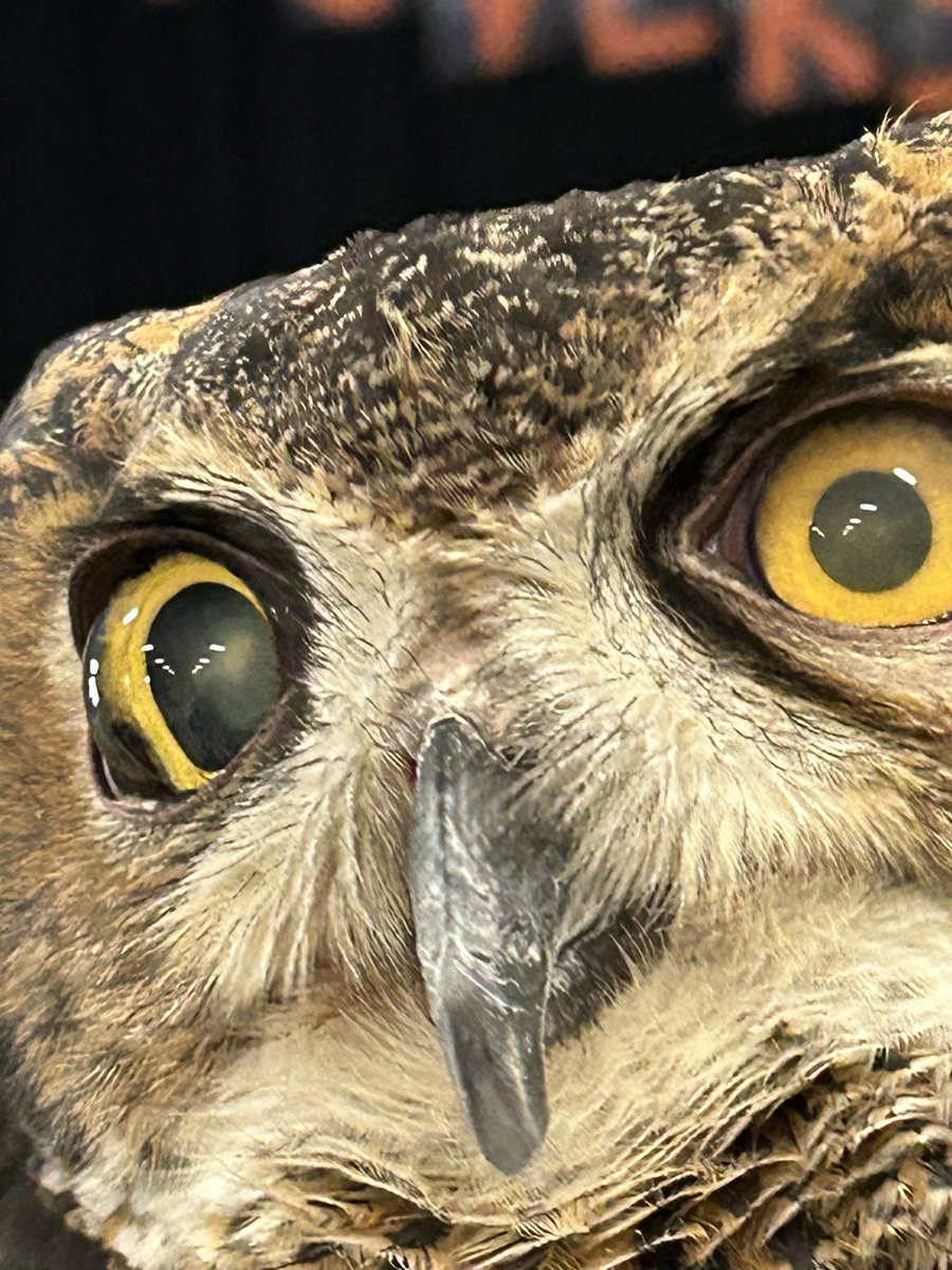 Tusculum View 2nd tweet media