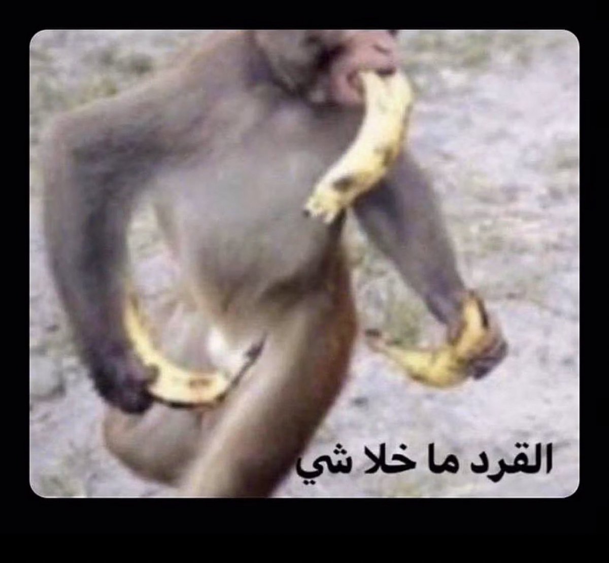zCr2sh's tweet photo. @awseswes اتوقع بيكون عن Fay زوجة Kratos ومغامراتها وقتالها مع Thor ، وكيف صنع الفأس حقها + مغامرات Atreus لحاله🧐 https://t.co/yVlkWY9zxG
