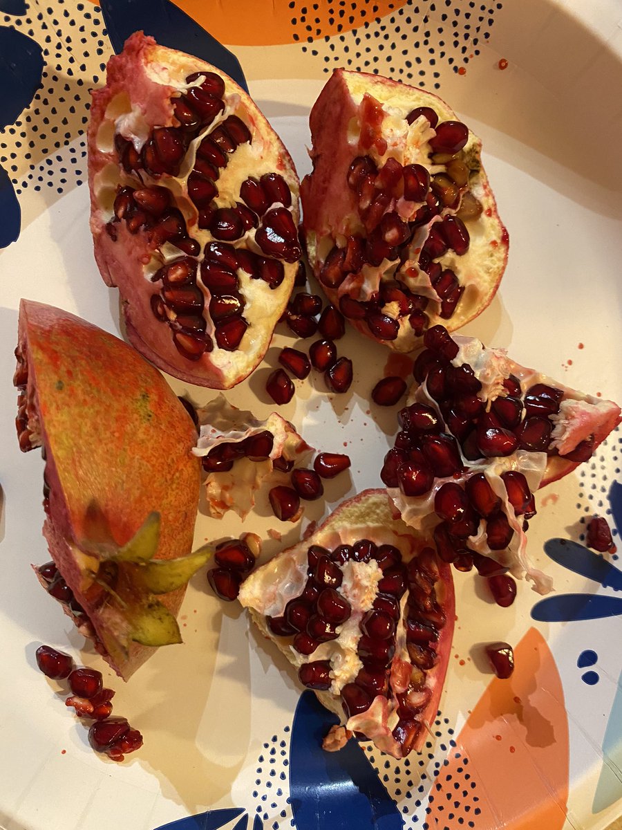 Good morning.
#pomegranate is juicy, not too much tart &amp; not sweet which is from not fully red or ripe? Anyway, it passed expectations. #wonderfulpomegrante 
I was afraid it wasn’t fully mature cuz the skin wasn’t RED like store brought &amp; didn’t seem to have enough time to ripe.