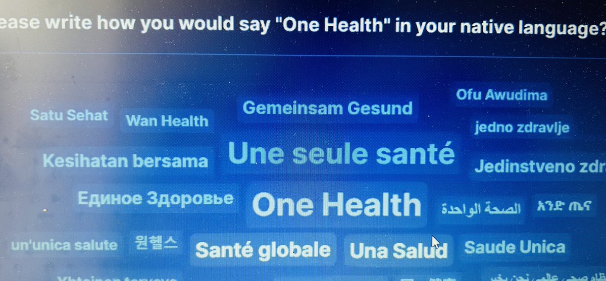 Today we closed our @WHO #EPIWIN webinar with expressions of #OneHealth in different languages to illustrate the diversity of #voices and #solutions for better preparing for and preventing #infectiousdiseases #Workingtogether & #Weareunited came as another #Onehealth definition