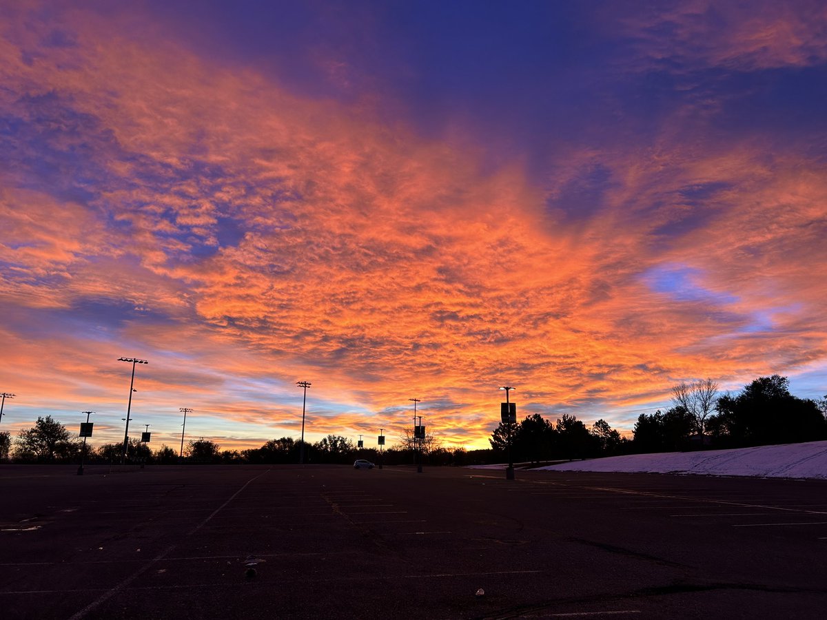 Lisa Herrmann tweet media