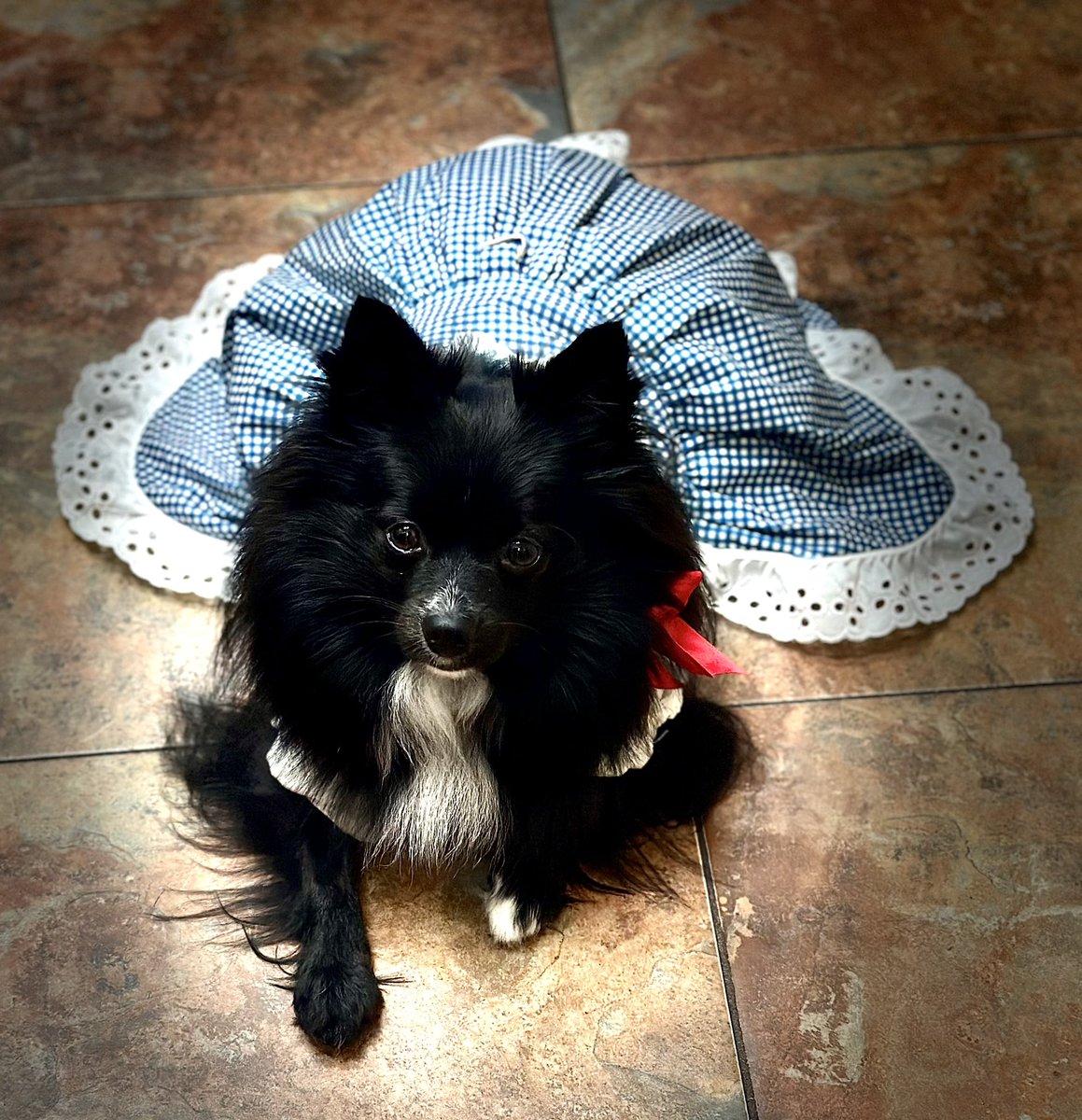 I’m lookin fur da wizerd. Anyone see da wizerd?