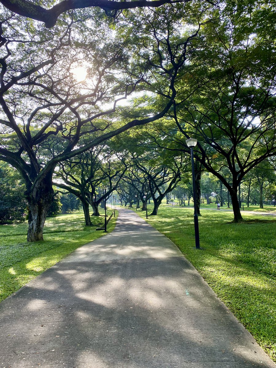 „Strebe nach Ruhe, aber durch das Gleichgewicht, nicht durch den Stillstand deiner Tätigkeit.“ 

        ✍🏻 Friedrich von Schiller 

(Strive for calm, but through balance, not through cessation of activity)