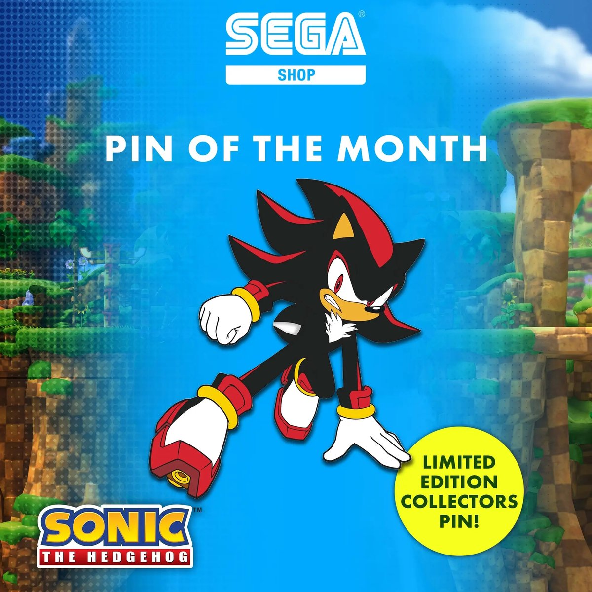 Pin on Sonic The Hedgehog (SEGA)