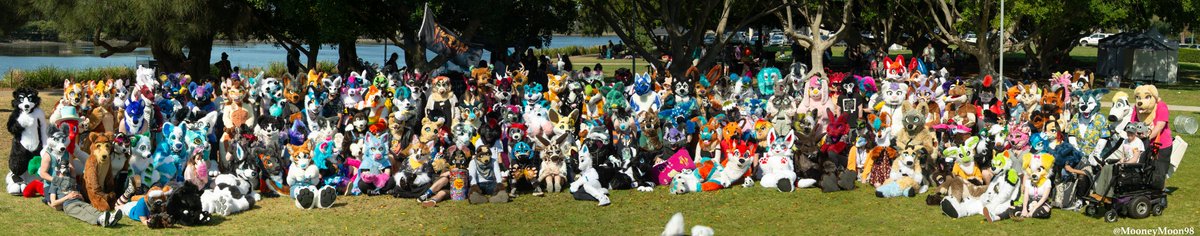 Final two
<a href="/FurJAM_Team/">FurJAM</a>
images done and dusted, Higher quality files of the panoramas can be found at the links.  
drive.google.com/file/d/1orKpYt…
paws up panorama
drive.google.com/file/d/1AXRhPA…