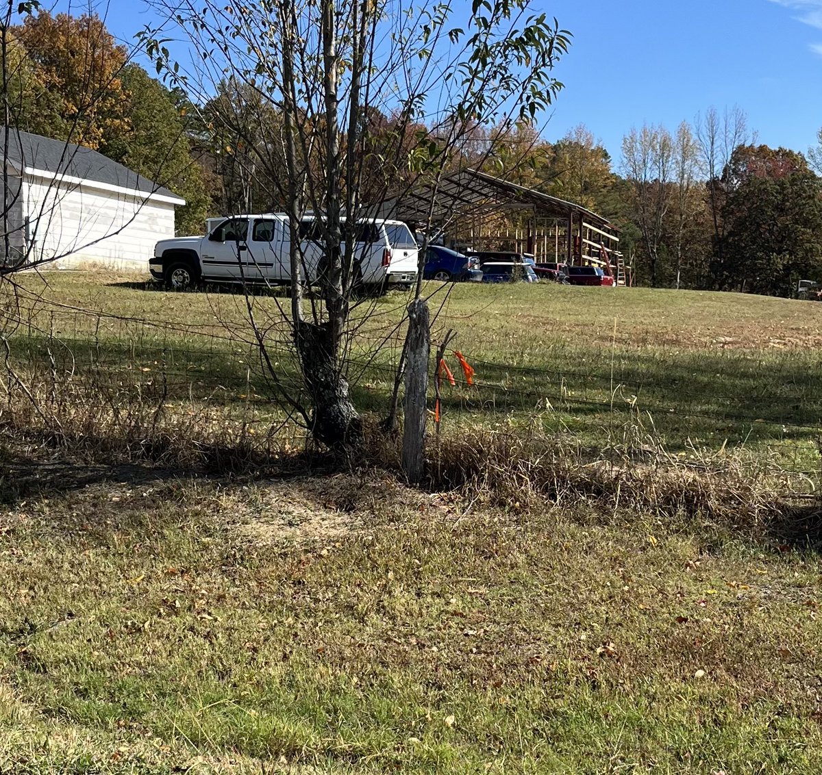 BlueCollarInvestor tweet media