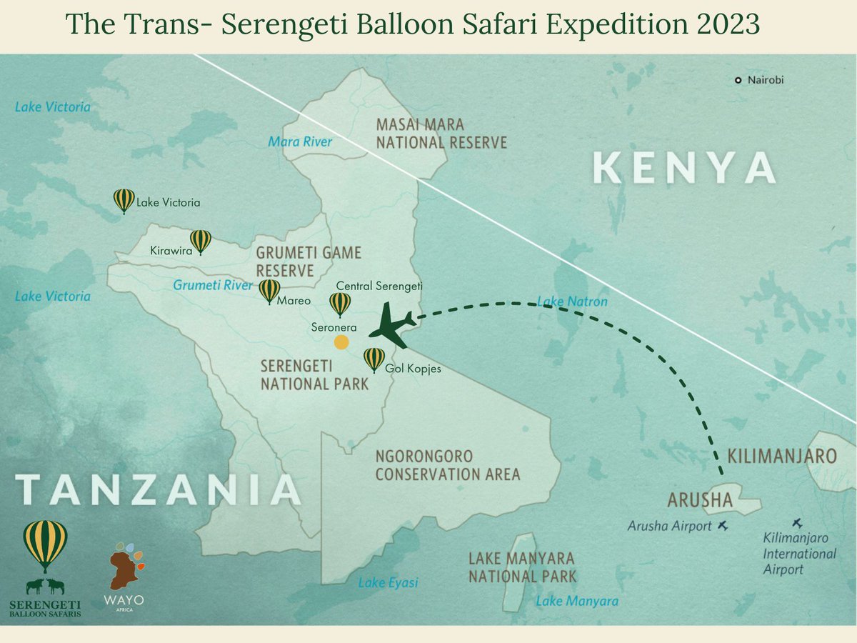 Serengeti Balloon Safaris tweet media