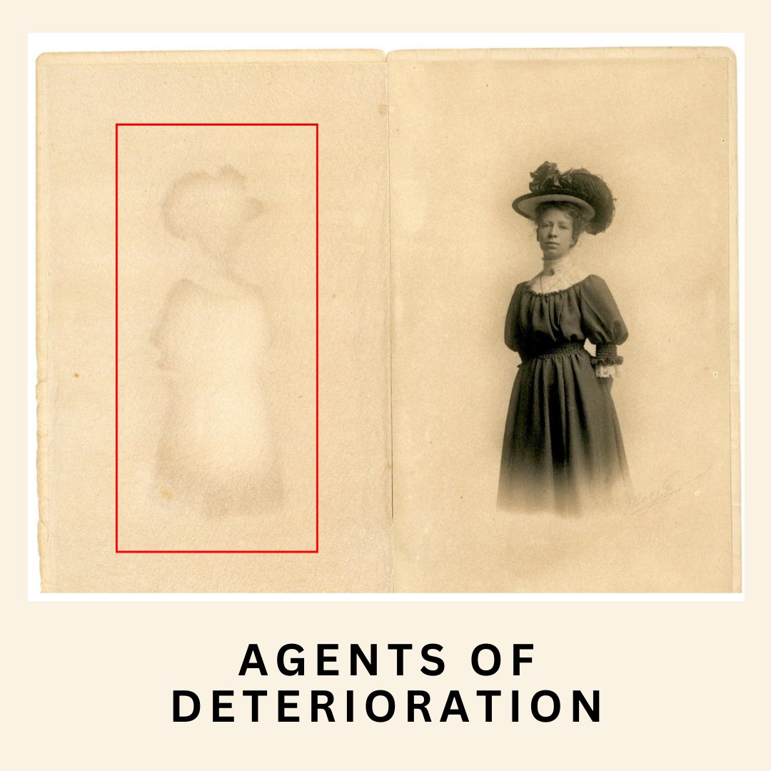 SchoolsMuseum's tweet image. Many of our artifacts come to us with existing damage. The book pictured below has reddish-brown stains called foxing, which is common in old books. The photograph shows acid transfer, which happens when substances transfer between two surfaces. #collectionsmanagement