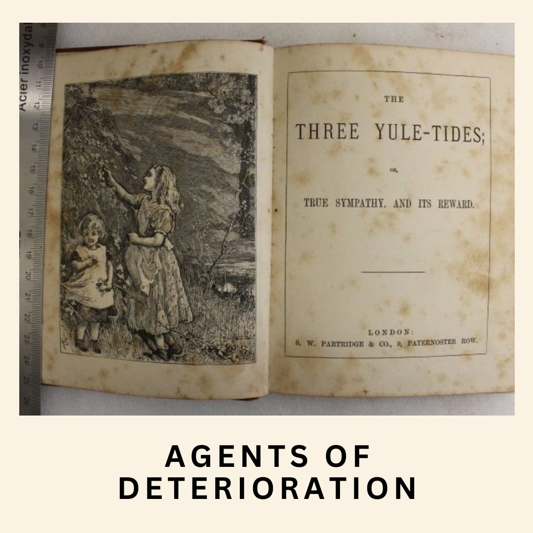 SchoolsMuseum's tweet image. Many of our artifacts come to us with existing damage. The book pictured below has reddish-brown stains called foxing, which is common in old books. The photograph shows acid transfer, which happens when substances transfer between two surfaces. #collectionsmanagement