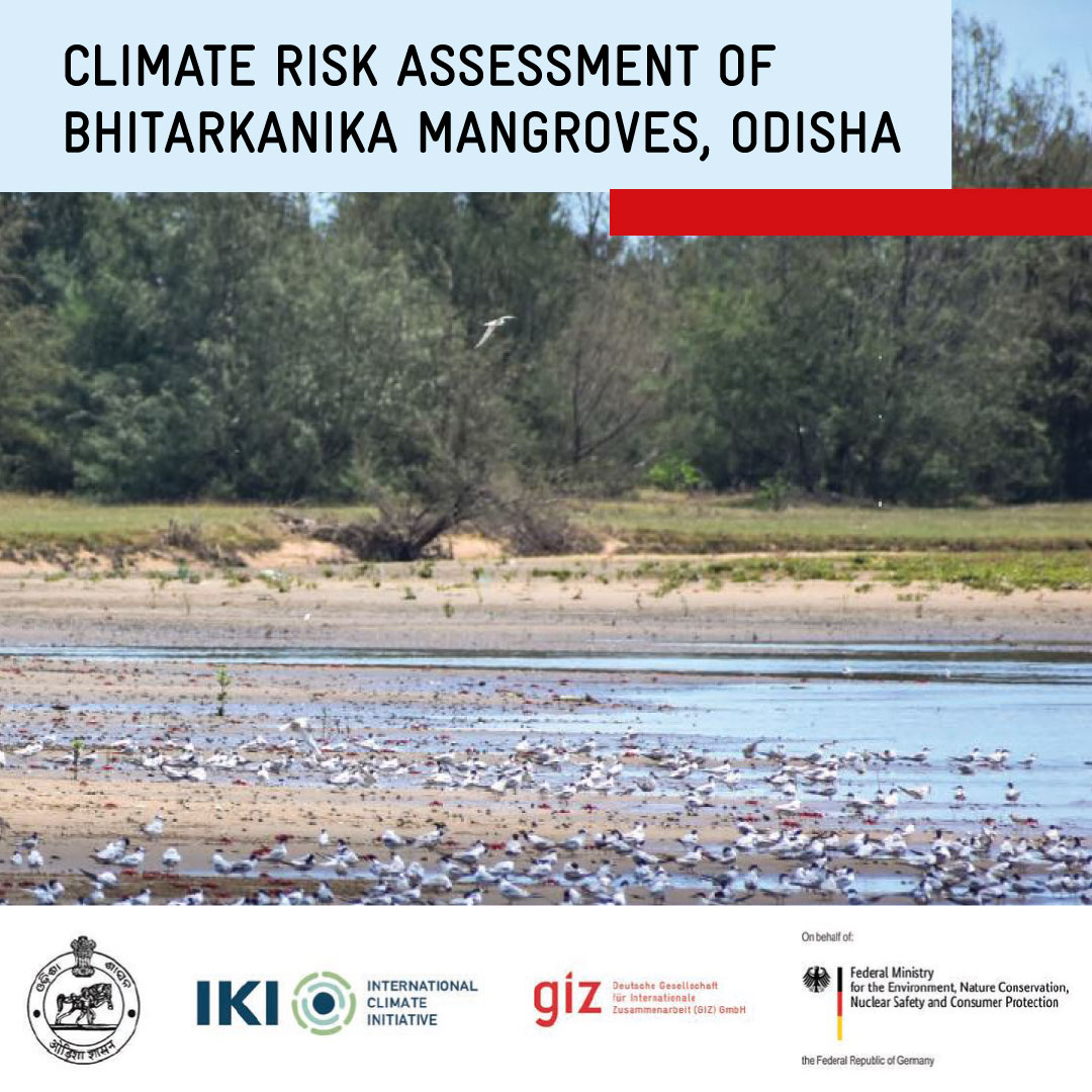 giz_gmbh's tweet photo. 🌾This new study reveals the vulnerability of mangroves, wildlife, &amp; livelihoods at Ramsar sites in India. Find out how we are integrating #climate risk assessments into our #wetland management plans to foster resilience &amp; protect #biodiversity.👉
https://t.co/X2Hrrtebye https://t.co/Bdqr73Jr5t