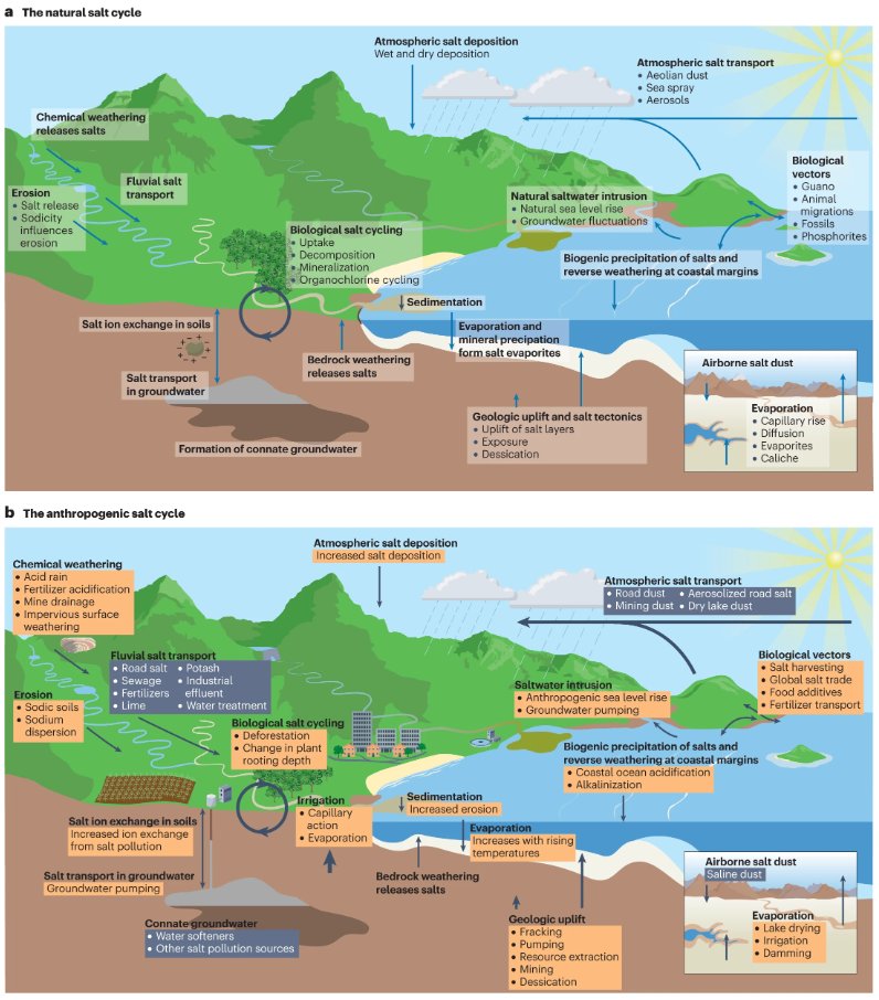 Earth's air, soil &amp; freshwater are getting saltier due to widespread use of salts in food, construction &amp; industry🧂

A new Review by <a href="/SujayKaushal/">Sujay Kaushal</a> et al. outlines the anthropogenic salt cycle &amp; its environmental consequences

nature.com/articles/s4301…
Free: rdcu.be/dp1df