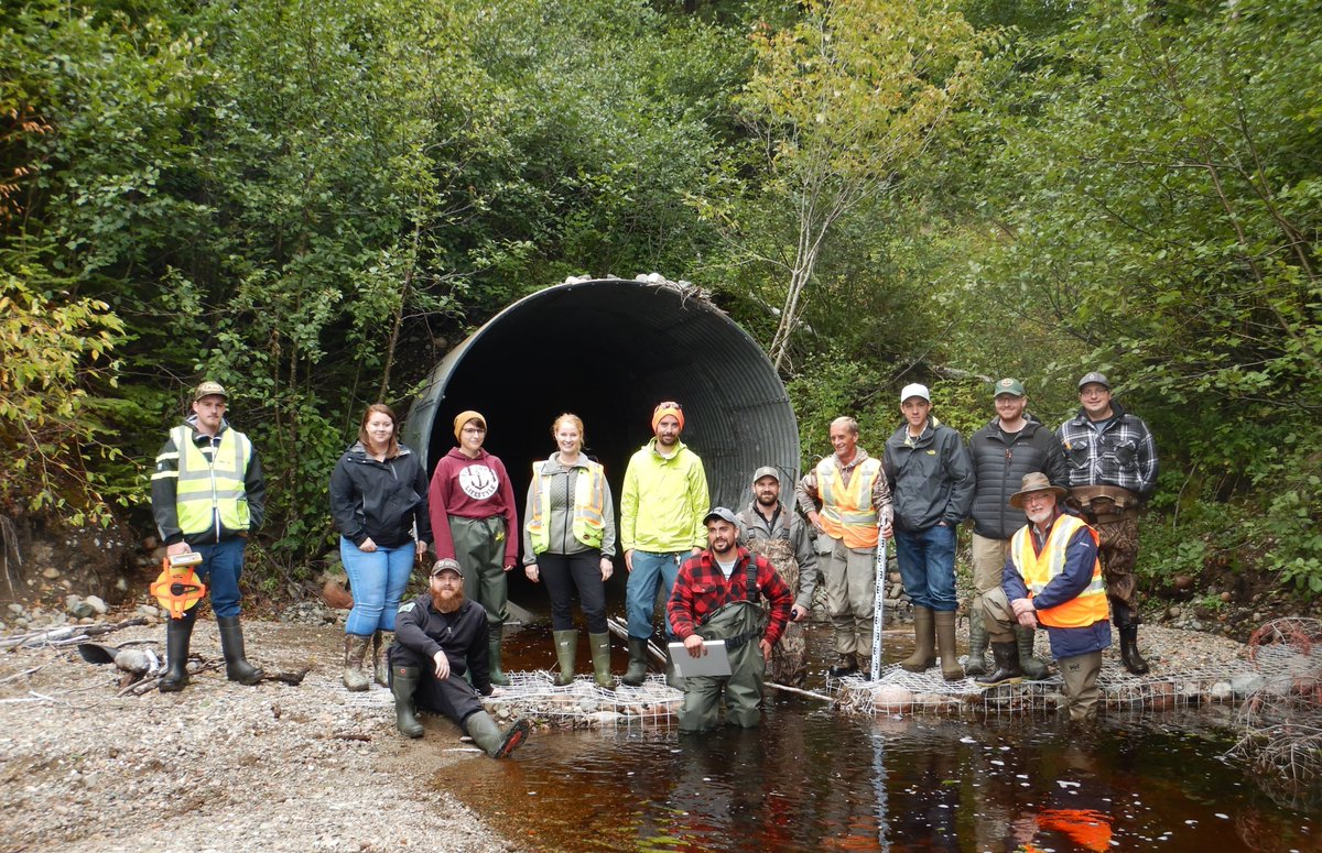 1/3 We’ve spent the last few years working with Indigenous groups and other organizations in NL to survey culverts and bridges to see if they are barriers to fish, including Atlantic salmon and brook trout. 🐟