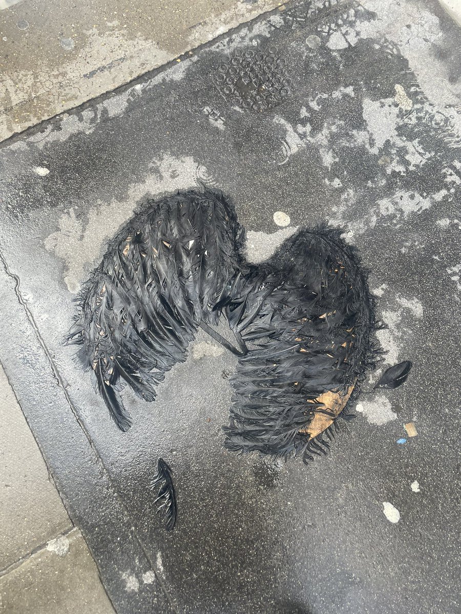 Jayne Collins tweet media