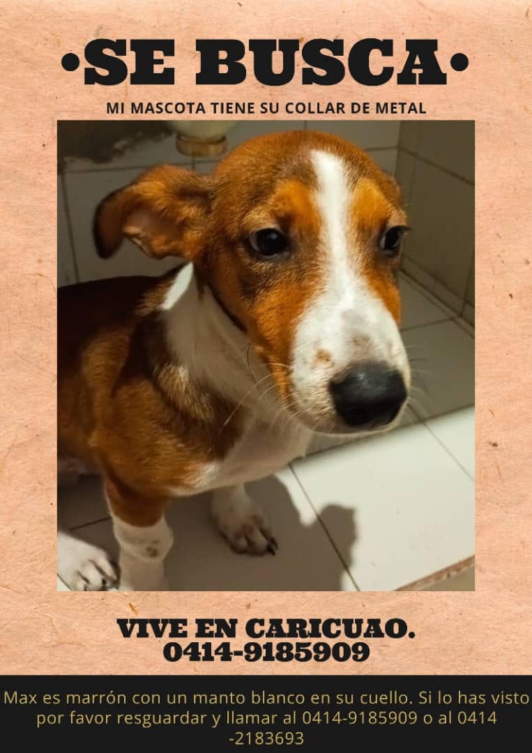 Su familia lo busca, Caricuao, Caracas