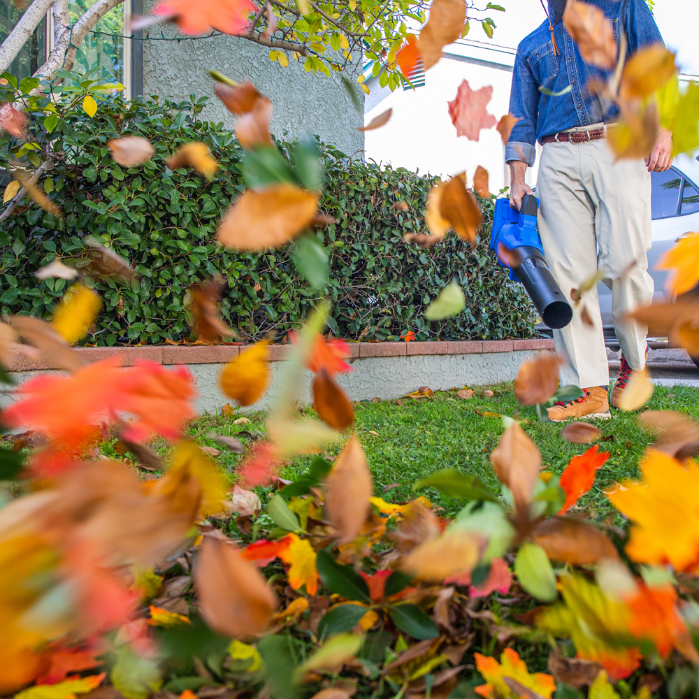 Say bye to the leaf piles and spruce up your outdoor space for fall. Kobalt has the tools you need for all your fall cleanup projects.