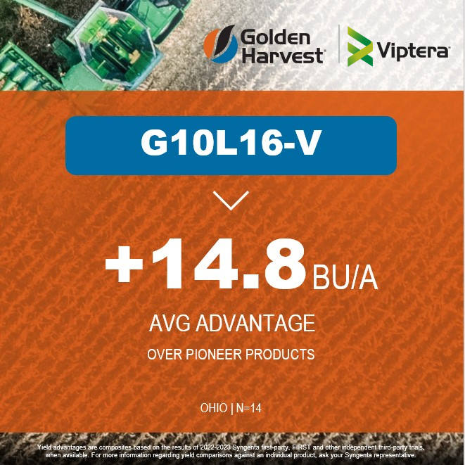 Golden Harvest Seeds tweet media