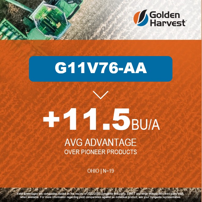 Golden Harvest Seeds tweet media