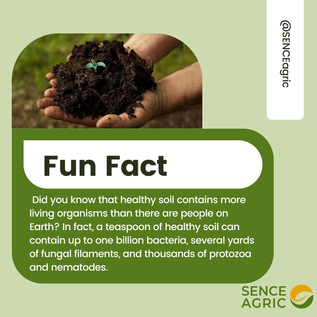 SENCE Agric tweet media