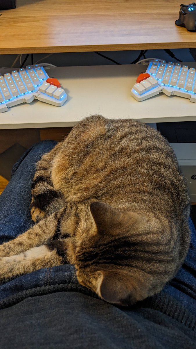 Karl McCollester (@karlmccollester) on Twitter photo Cold mornings can become a great way to work on my stretches 💪 #CatsOfTwitter <a href="/ErgoDoxEZ/">ErgoDox EZ</a> #moonlander Cold mornings can become a great way to work on my stretches 💪 #CatsOfTwitter <a href="/ErgoDoxEZ/">ErgoDox EZ</a> #moonlander