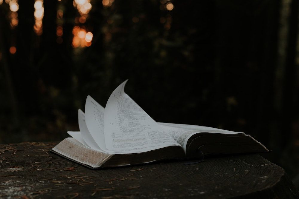 Curt_Fowler's tweet photo. How do I increase my odds of making good decisions? Of being wise rather than scared? Here is what I’m figuring out. https://t.co/rv5MOUNoaG https://t.co/KYdqlNDCPb