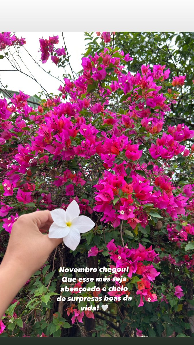 Novo mês! Novas metas! Novas oportunidades! Que seja um mês maravilhoso! 🌸