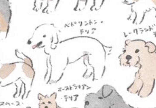 @2020momo100 いましたー!🙏 