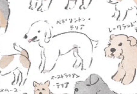 @2020momo100 いましたー!🙏 