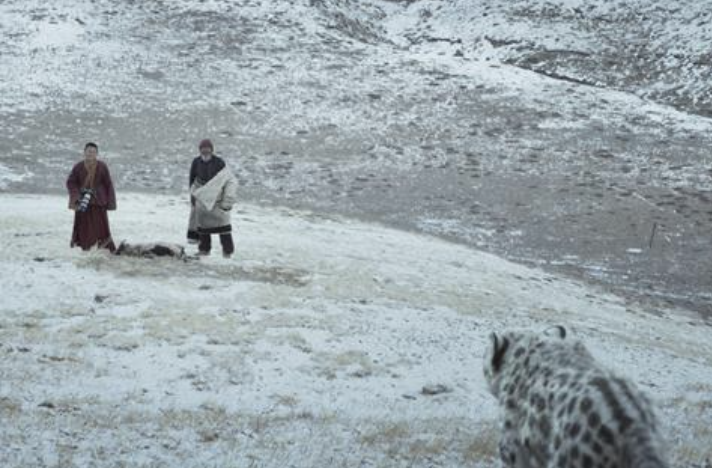 newmachineco's tweet photo. The film "Snow Leopard," directed by the renowned late Tibetan filmmaker Pema Tseden, clinched the Grand Prix at the Tokyo International Film Festival (TIFF). The event was notably marked by standout performances from Chinese and Iranian cinema. https://t.co/uudBvmuLRI