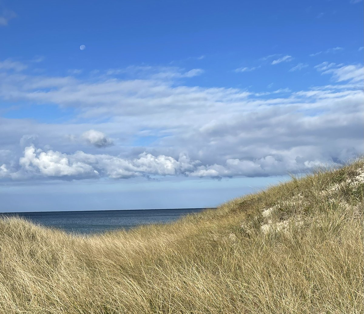 November beach views on Martha’s Vineyard