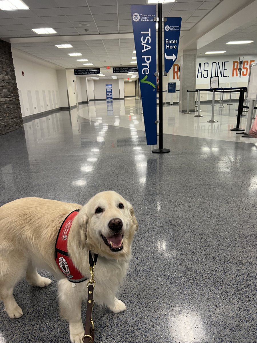 THREAD: UPDATE <a href="/PHXSkyHarbor/">Phoenix Sky Harbor International Airport</a> &amp; TSA agent: Mom is satisfied with their timely response and follow-through. We ALWAYS aim to raise awareness and help educate people about the needs of those with disabilities and service dogs so they are treated with respect. The response is lengthy