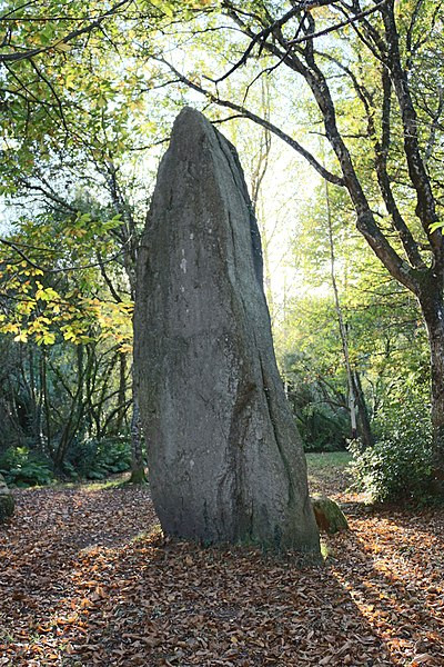 MonumentumFr's tweet photo. Trois menhirs de Lespurit-Quelen à #Plovan (#Finistère) Construction Néolithique. Trois menhirs de Lespurit-Quelen (cad. A 22) : classement par arrêté du 6 mars 1923.
Suite 👉 https://t.co/LBr3SW6htG
#Patrimoine #MonumentHistorique https://t.co/8hVzi2dfGG