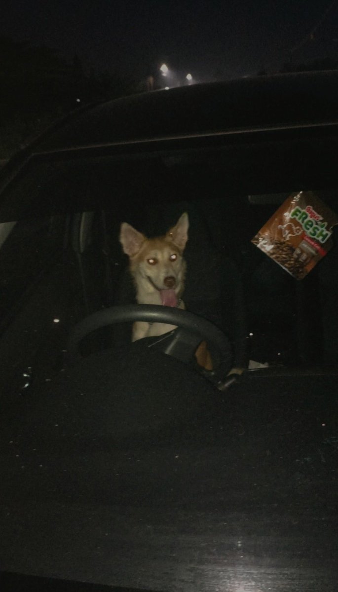 overrdosize's tweet image. klakson trossss