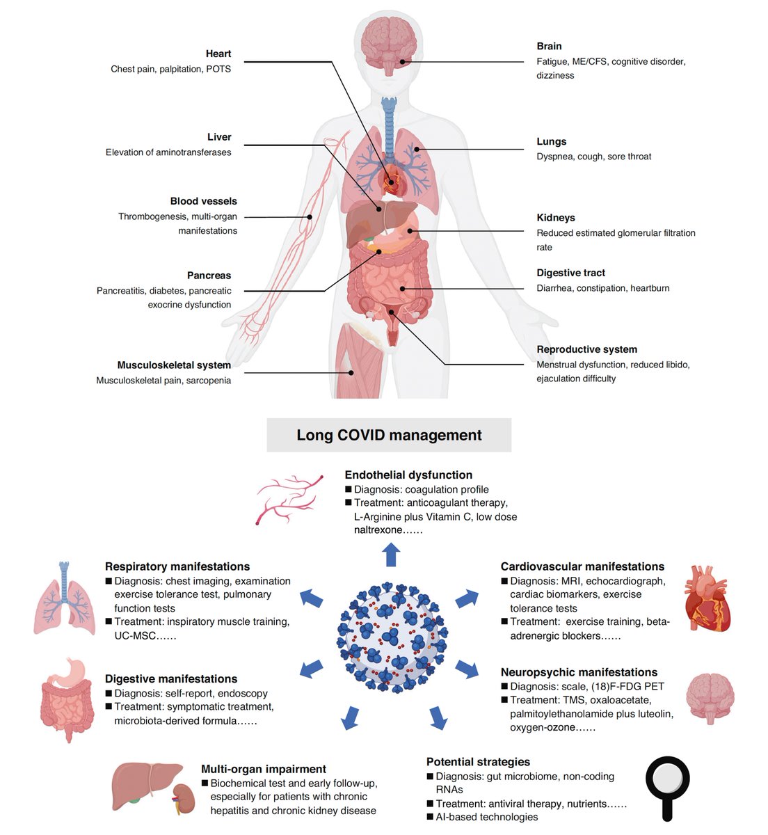 A new, very good review on #LongCovid nature.com/articles/s4139…