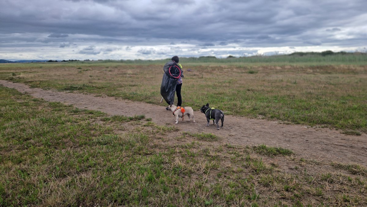 Beach clean, Sunday 12th November 10am-midday. Families & dogs welcome🐕 This will be weather dependent and if #LiveFreeKitchen are on site there will be refreshments available from near the main car park 🥐☕️ Please email info.steart@wwt.org.uk to book a place 🐾🥾😀