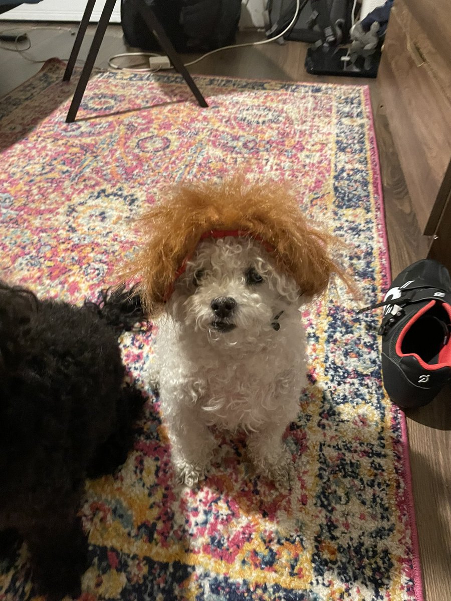 Sam Jackel tweet media