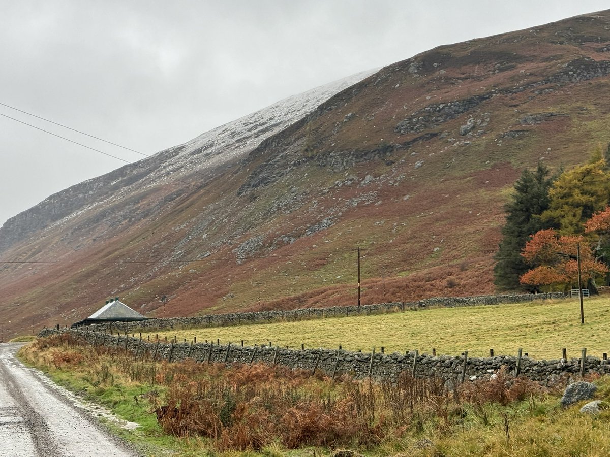 Stephen Blundell tweet media