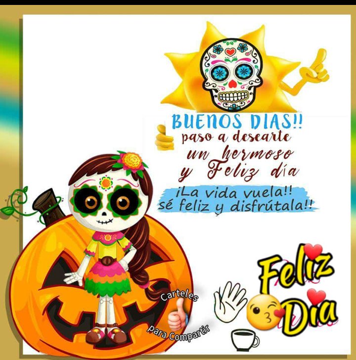Antonieta Trinidad (@antonieta_trin) on Twitter photo 