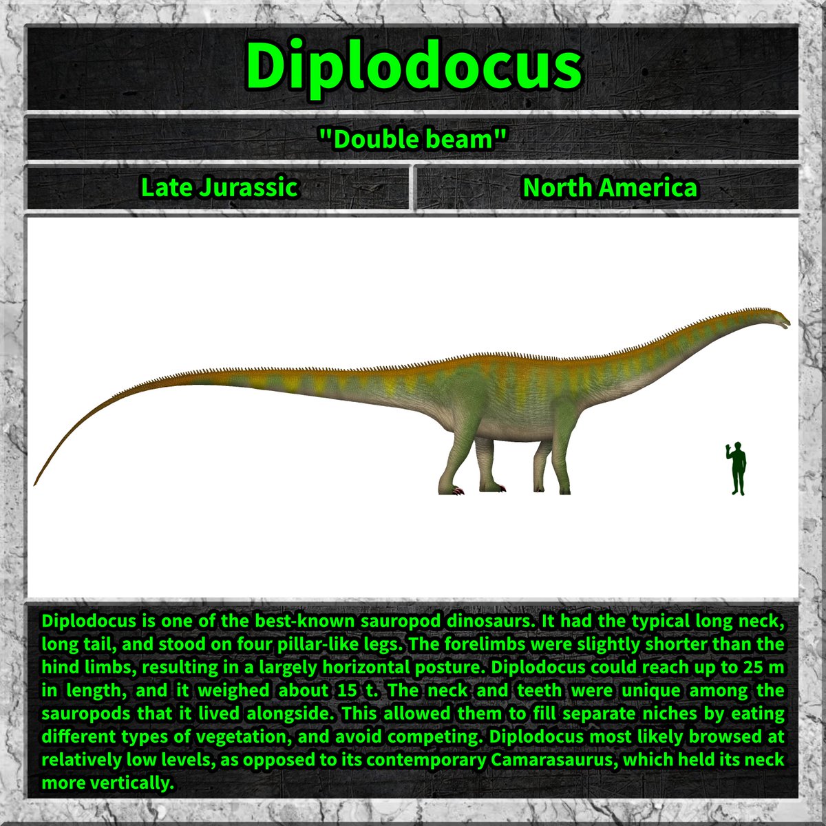 Total_Dino's tweet image. The recent paper describing Diplodocus scales showing a "possible ginger or yellow color" inspired the stripes on this bad boy.

What do you think?

#diplodocus #dinosuar #LifeOnOurPlanet