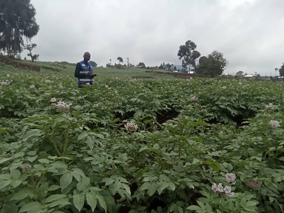 SPF-Ikigega tweet media